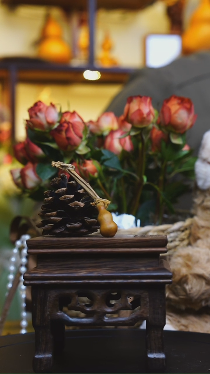 【闪购商品】琦妹妹十八岁全头全尾2.0指捻