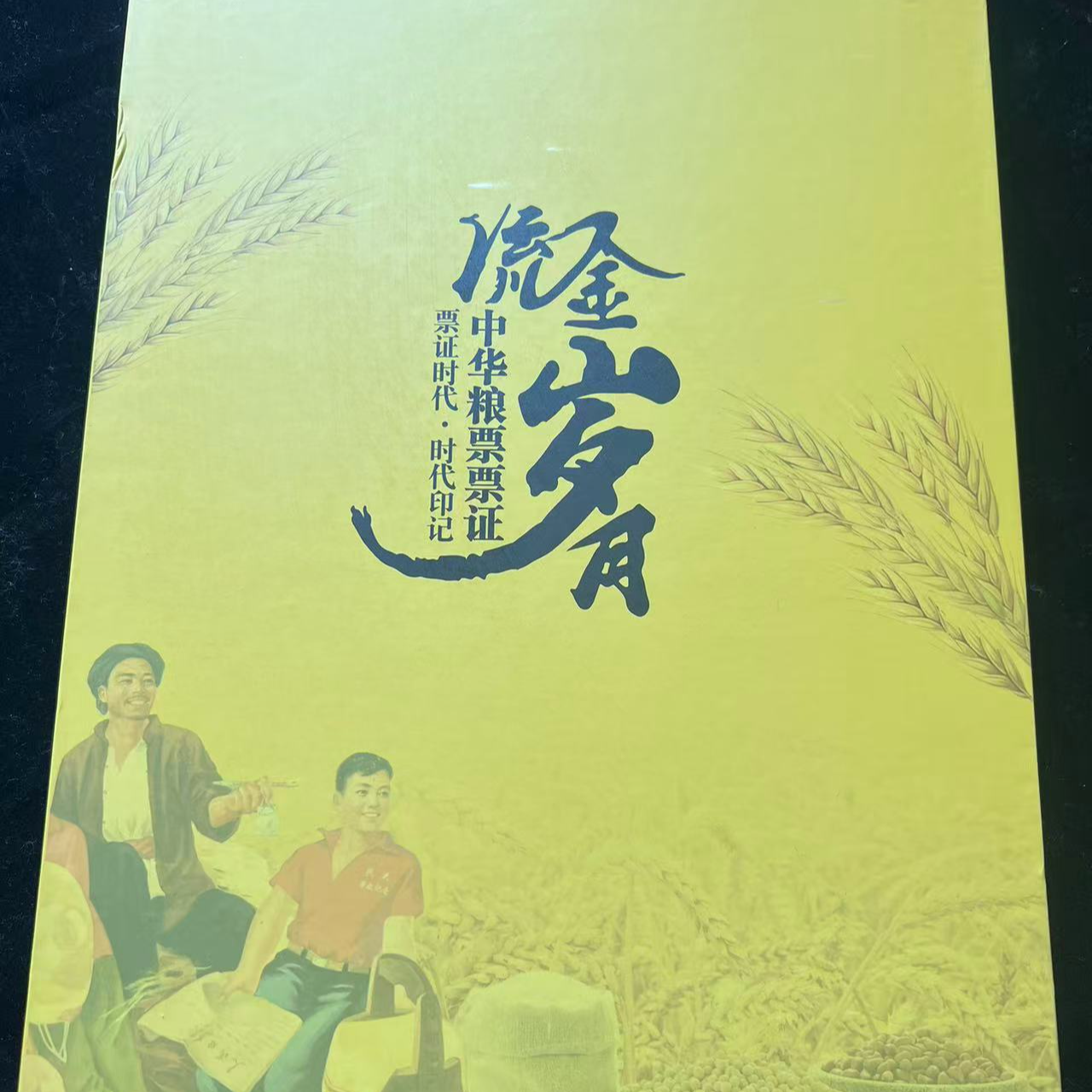 流金岁月 中华票证  中钱