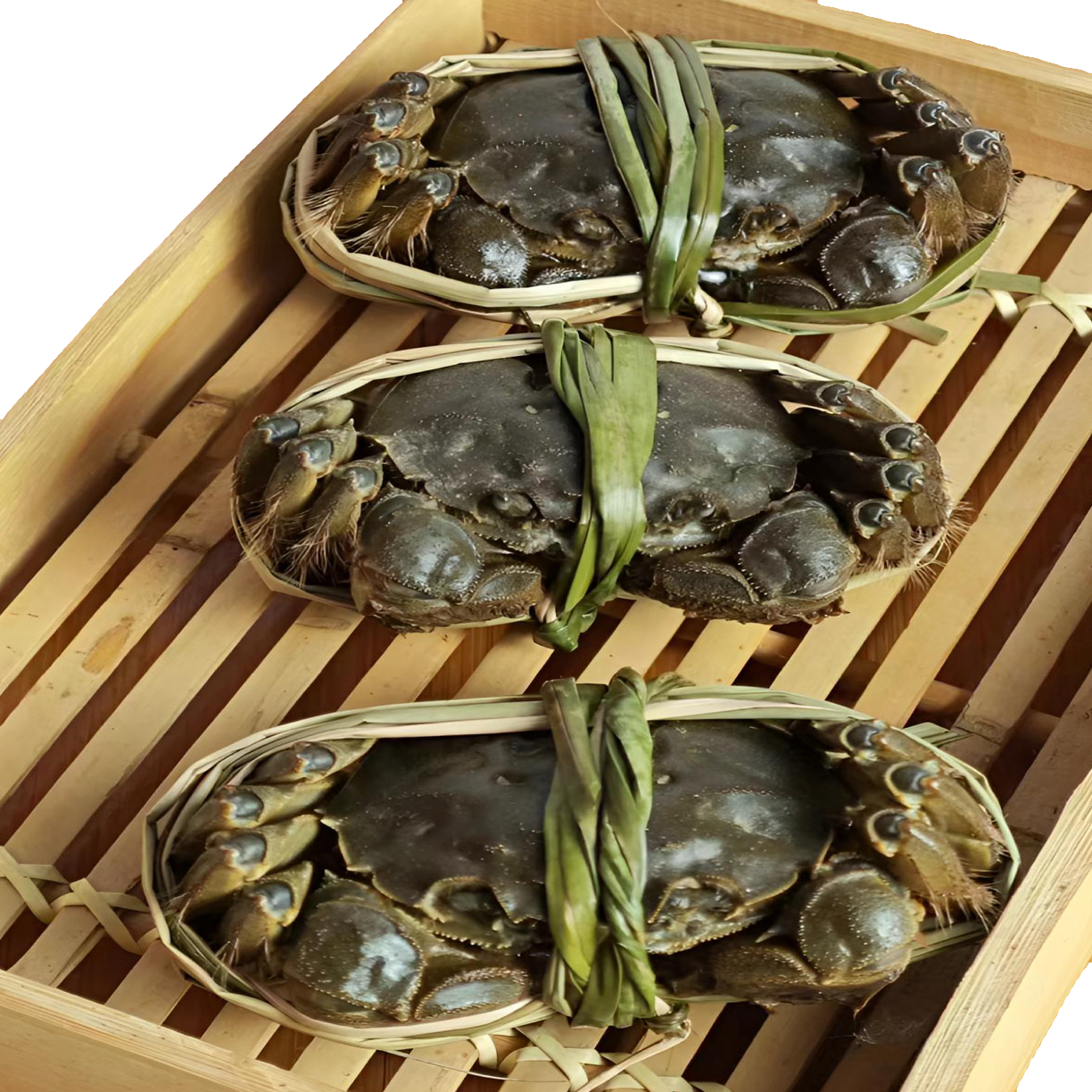 【活蟹】绿城湖鲜活大闸蟹却腿全母2.2-2.5两 两斤重约6-11只