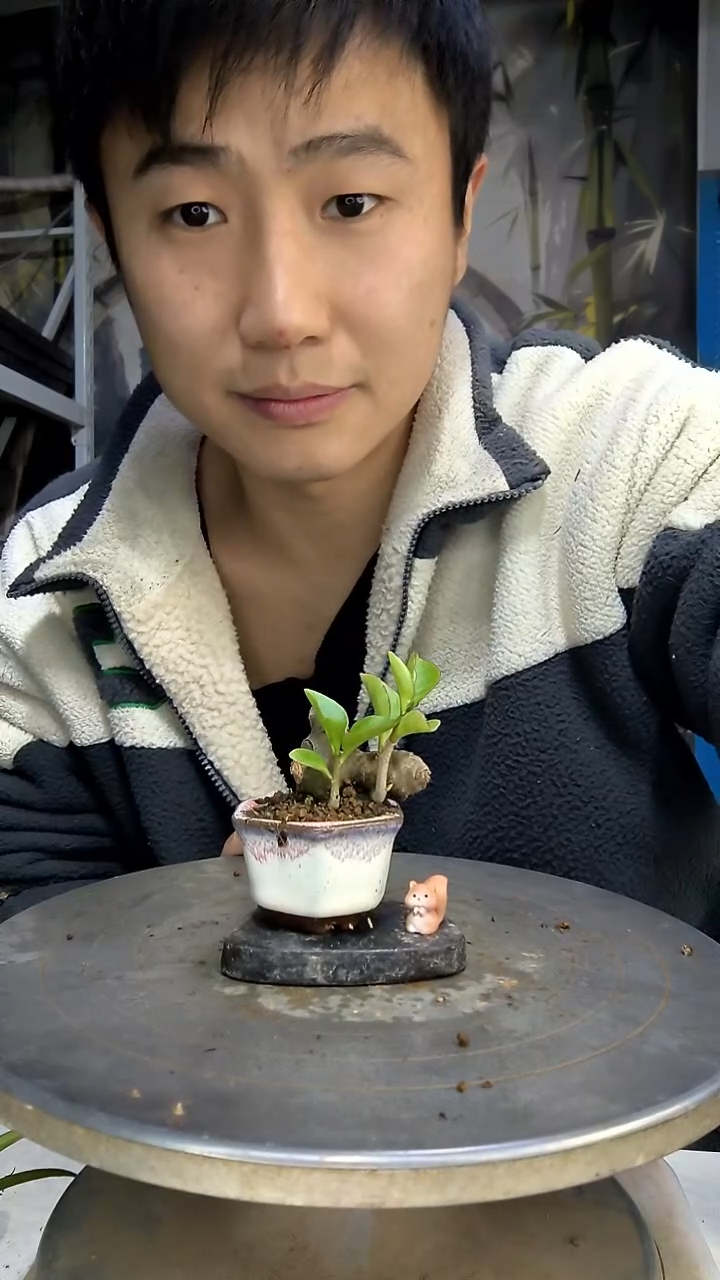 ✔中青园艺一物一拍花95
