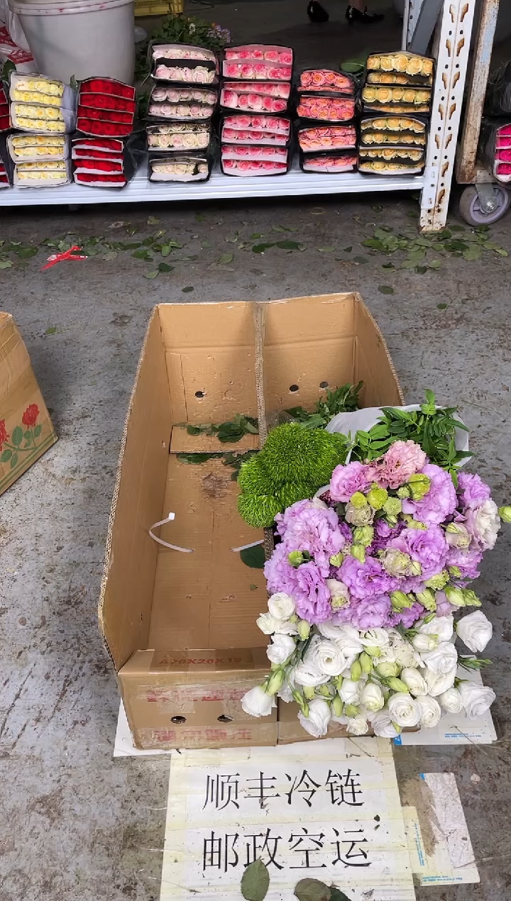 洋桔梗800克（白+波浪紫）+绿毛球1扎+九星叶