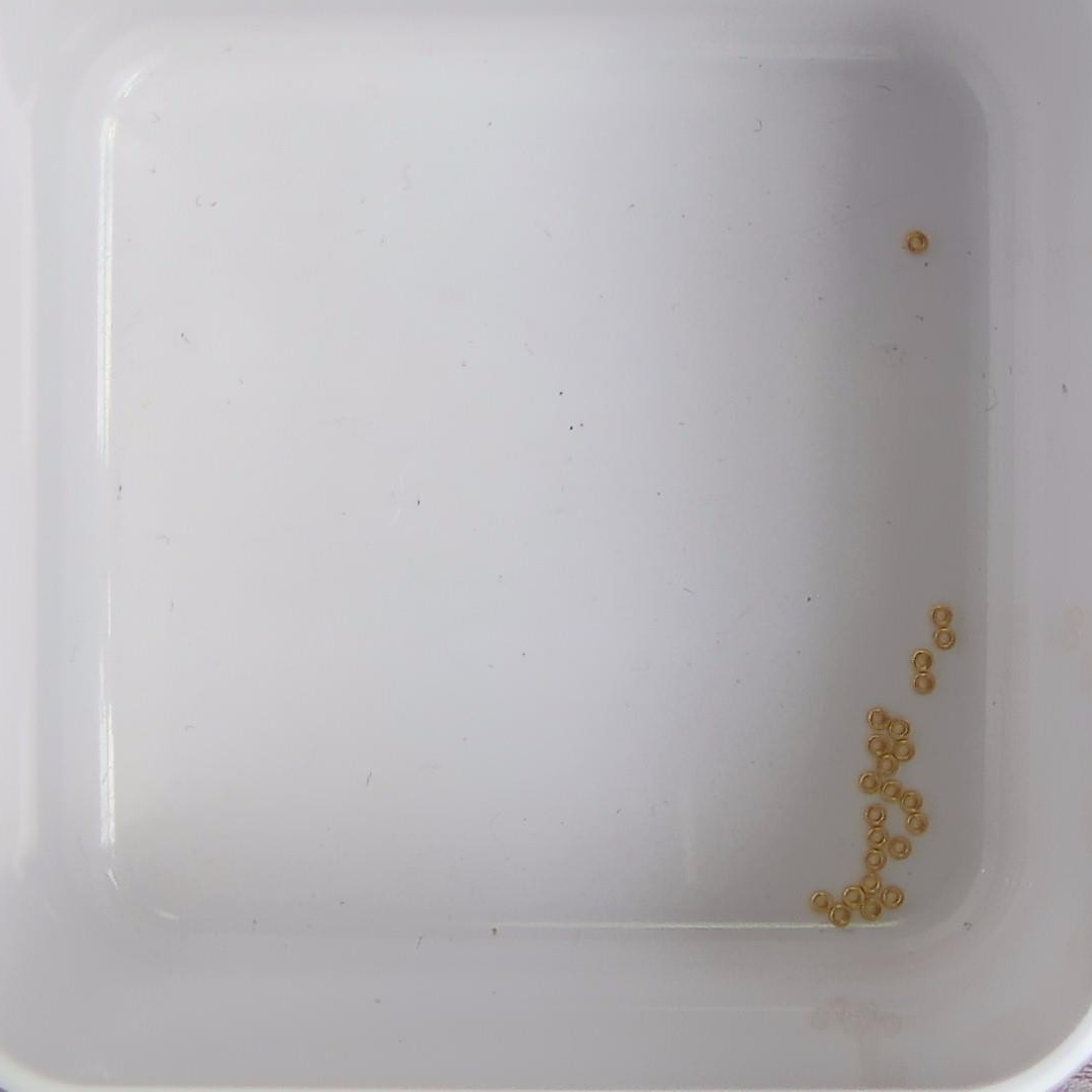 黄金足金小金 豆 