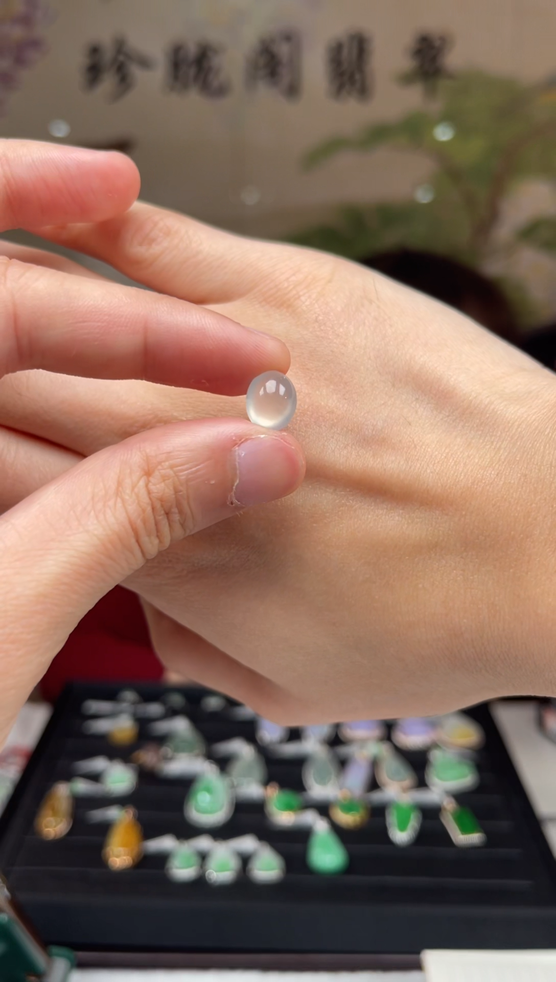 【闪购商品】翡翠颈饰未镶嵌23号标签撕毁不退换