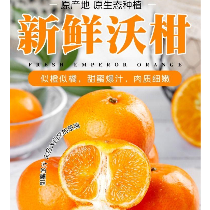 广西正宗武鸣沃柑花皮果香甜饱满皮薄肉厚当季新鲜现摘超甜沃柑