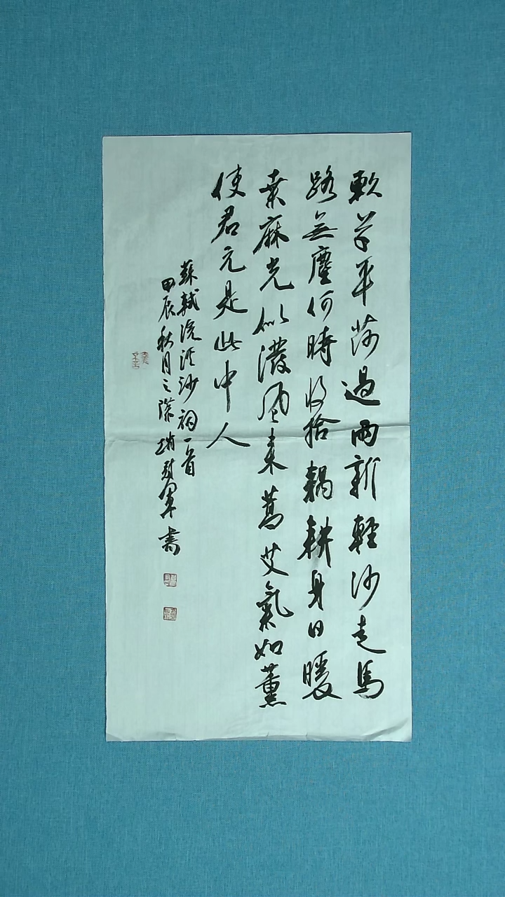 【闪购商品】书法119 上海赵冠军中书协69*34