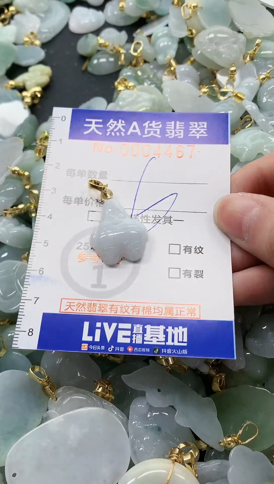 颈饰未镶嵌翡翠纯天然a货翡翠