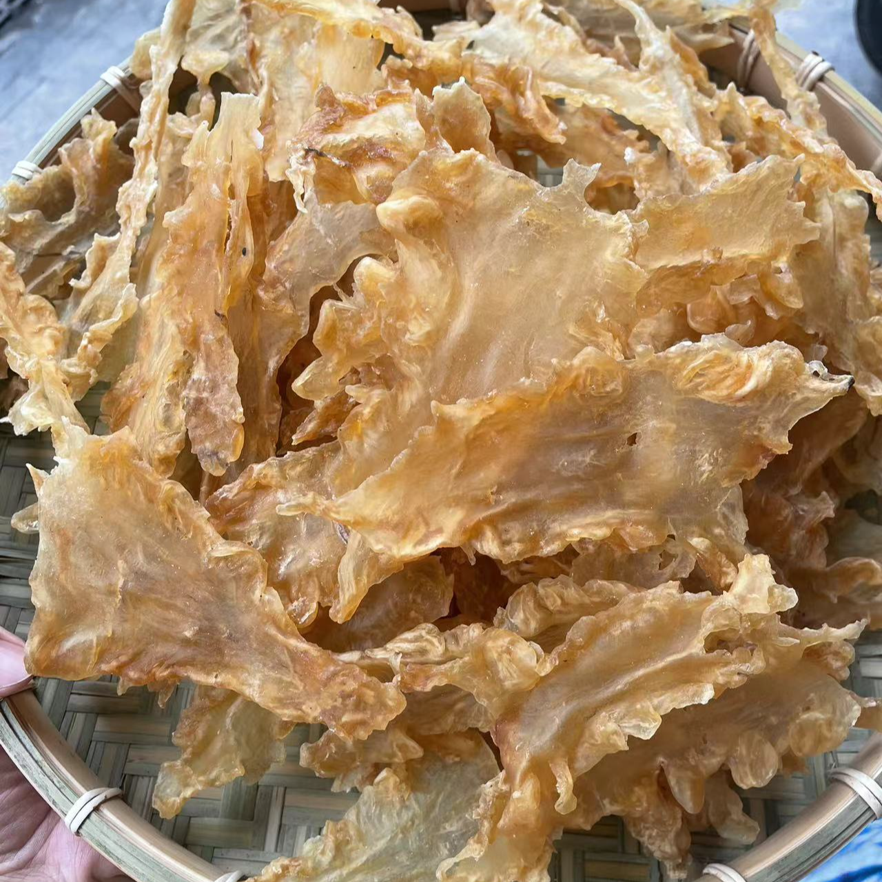 55头鱼胶花胶鳕鱼胶约煲汤料鱼肚干足干深海花胶