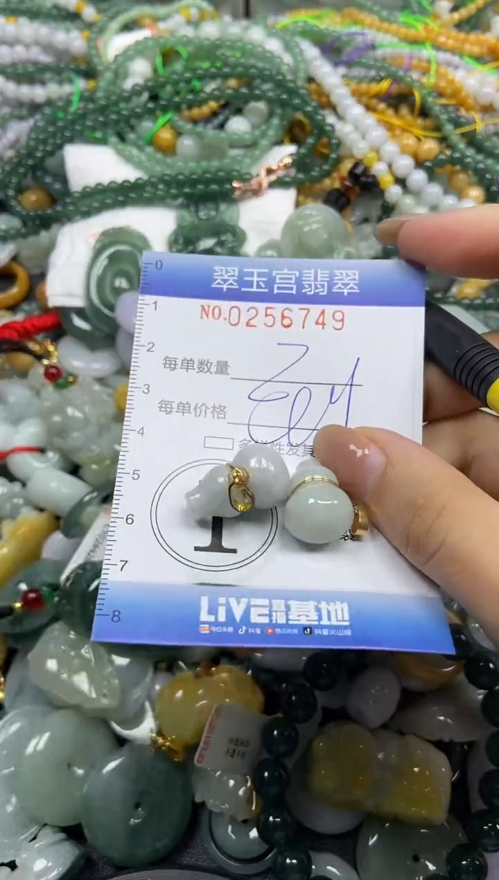 颈饰未镶嵌翡翠闪购C0256749