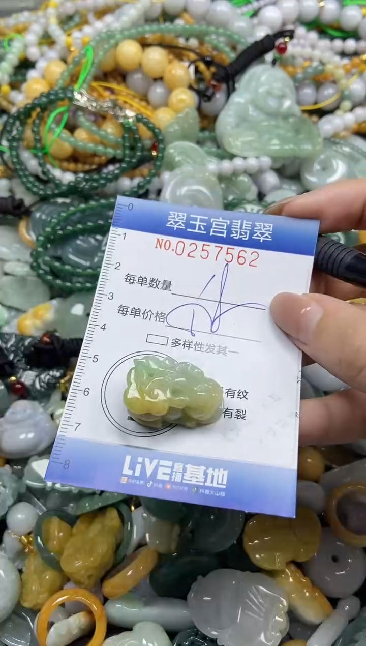 颈饰未镶嵌翡翠闪购C0257562