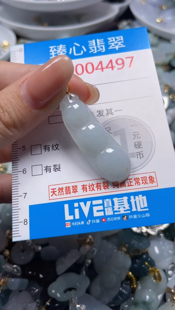 颈饰未镶嵌翡翠4497