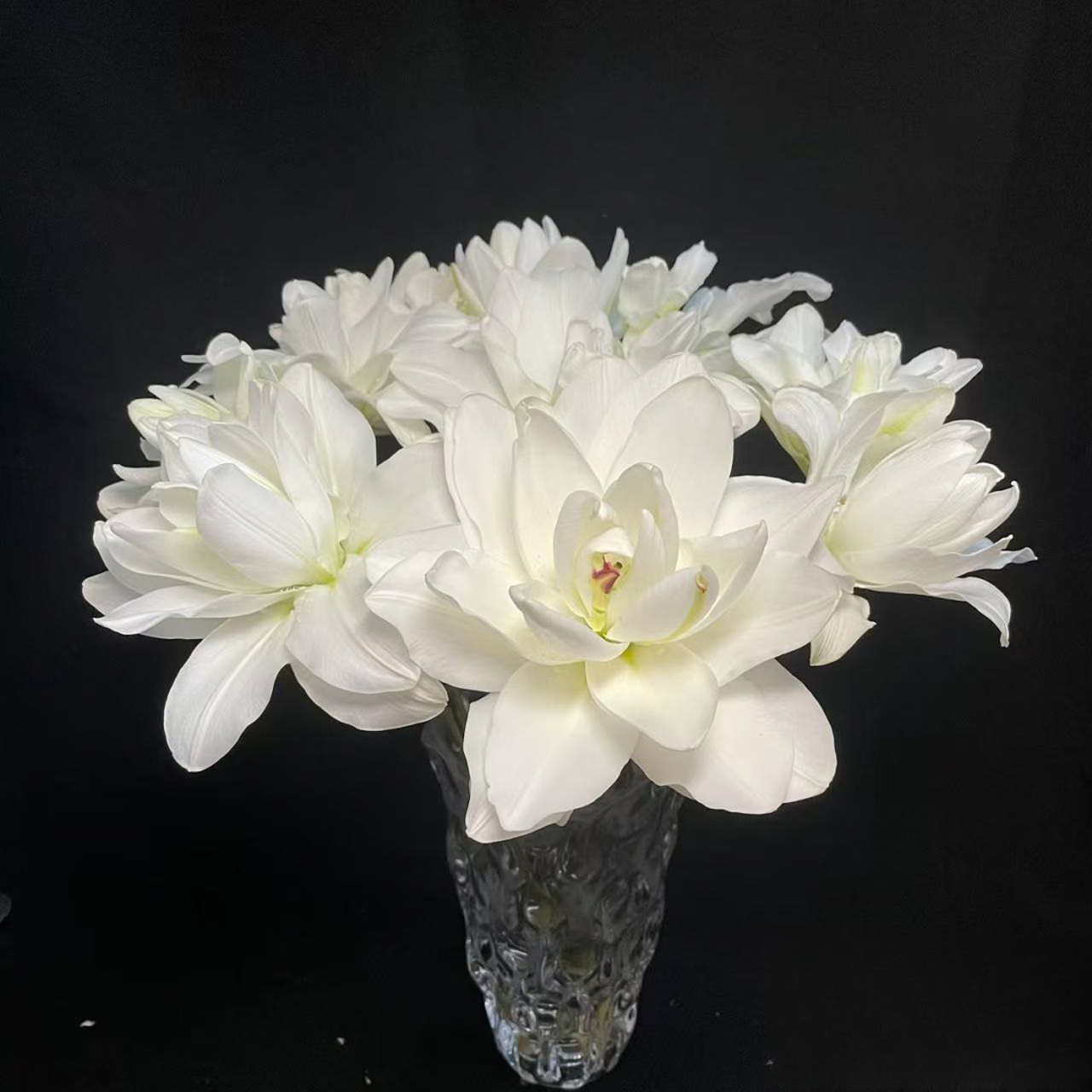 【雪莲花】A级重瓣百合‘云南 基地直发鲜切花