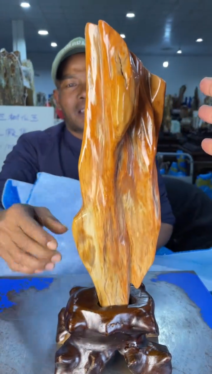 未镶嵌摆件硅化玉11