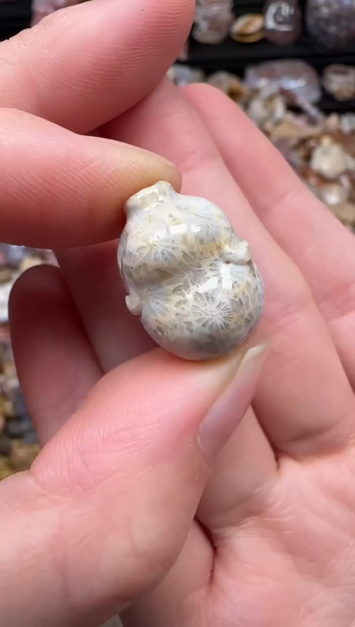 颈饰未镶嵌硅化珊瑚（珊瑚玉）562