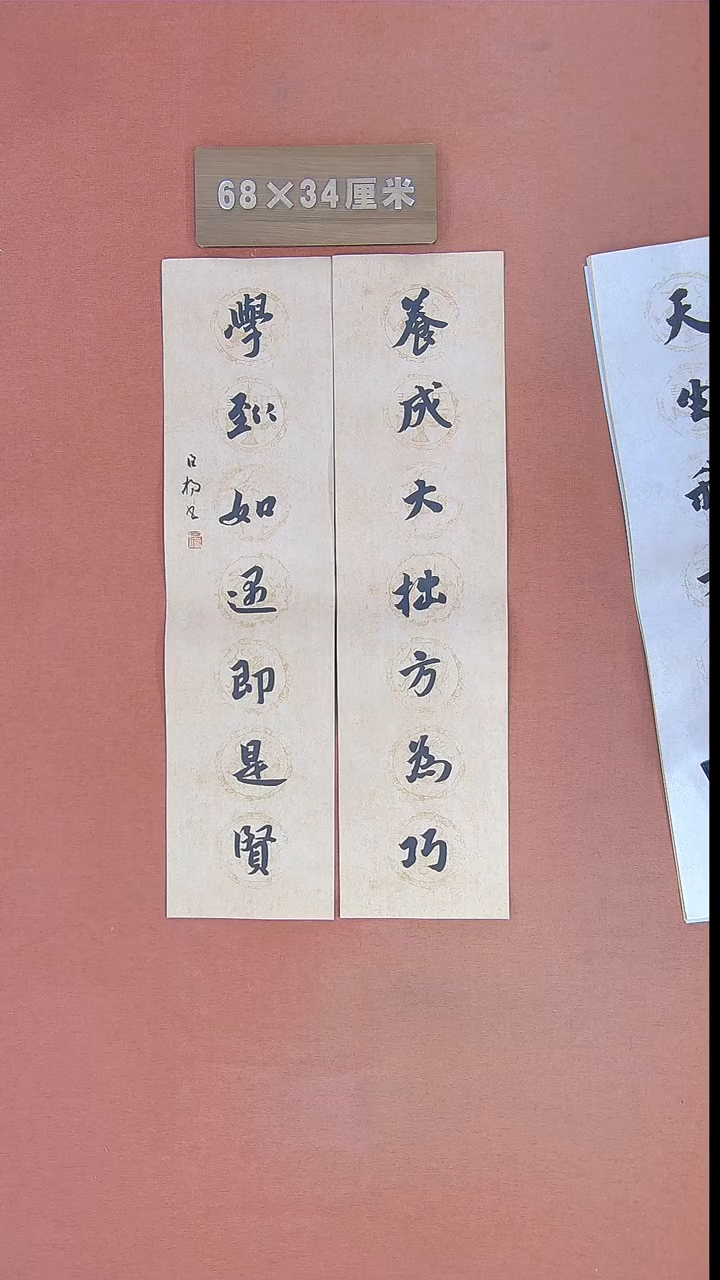 【闪购商品】书法110宋辰杨书法作品