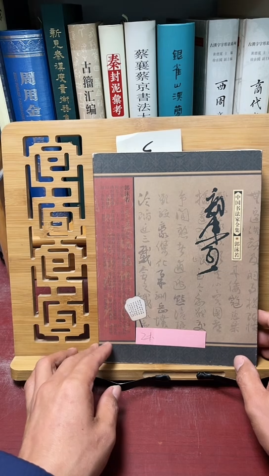 中国书法家全集郭沫若