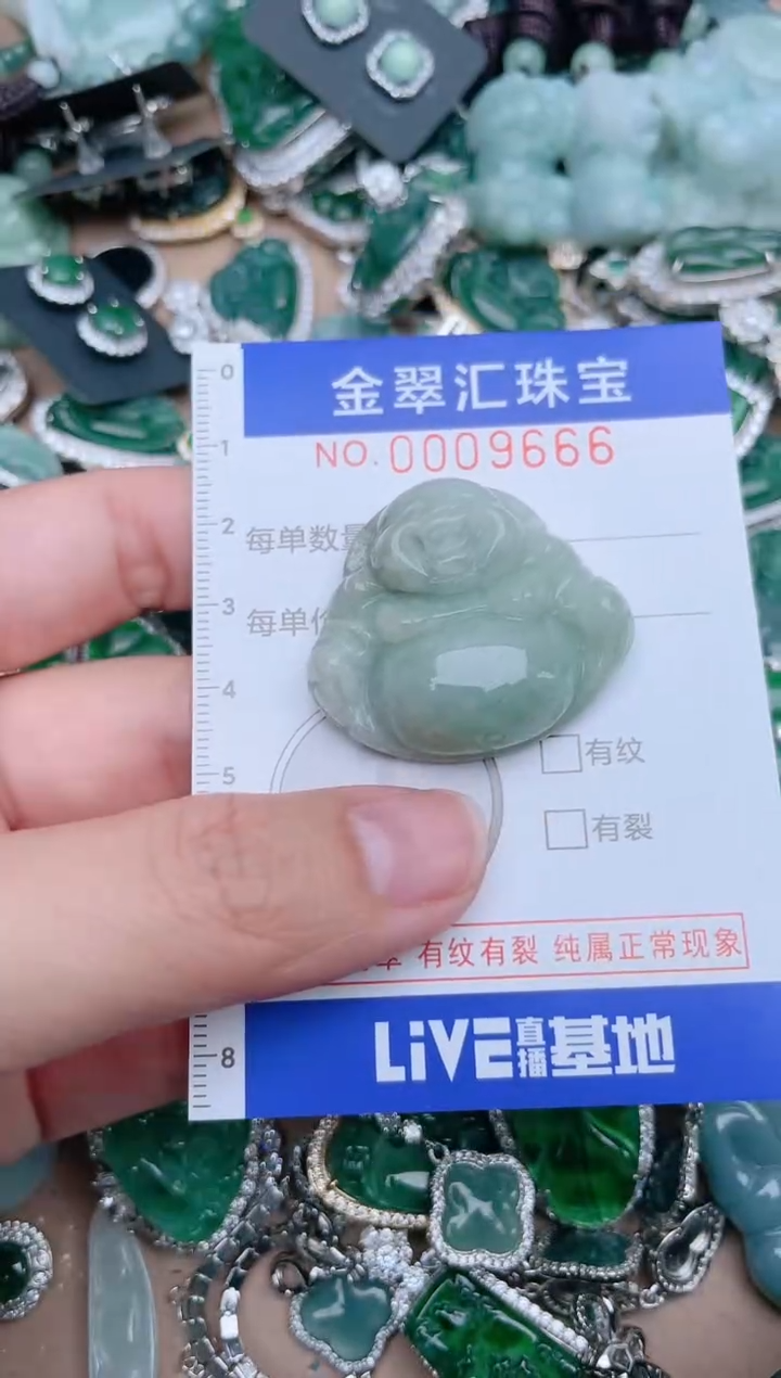 【闪购商品】翡翠颈饰未镶嵌9666.....1