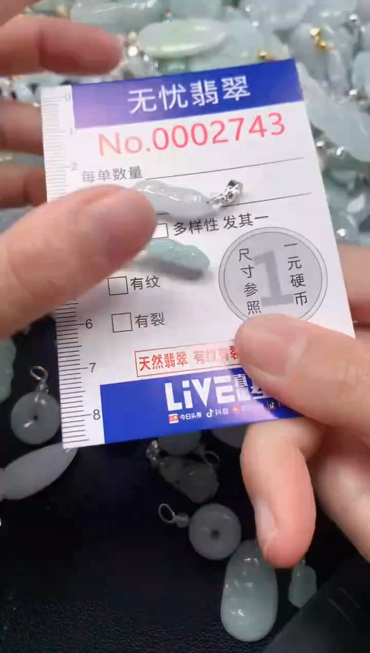 颈饰未镶嵌翡翠2743