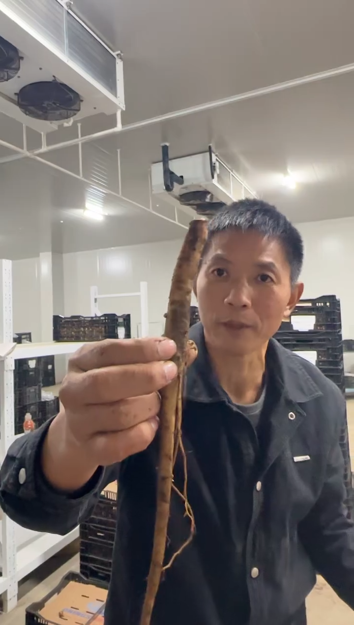 家**安89  家人平安  典雅香槟断根