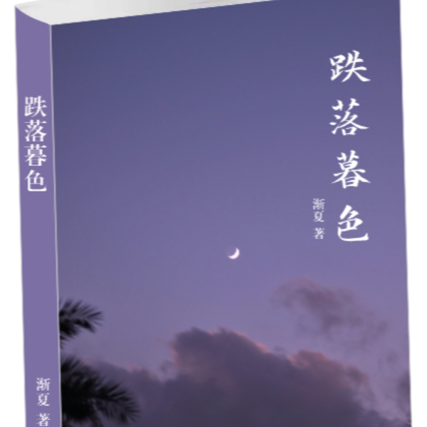 现货速发 保证无删减 跌落暮色实体书