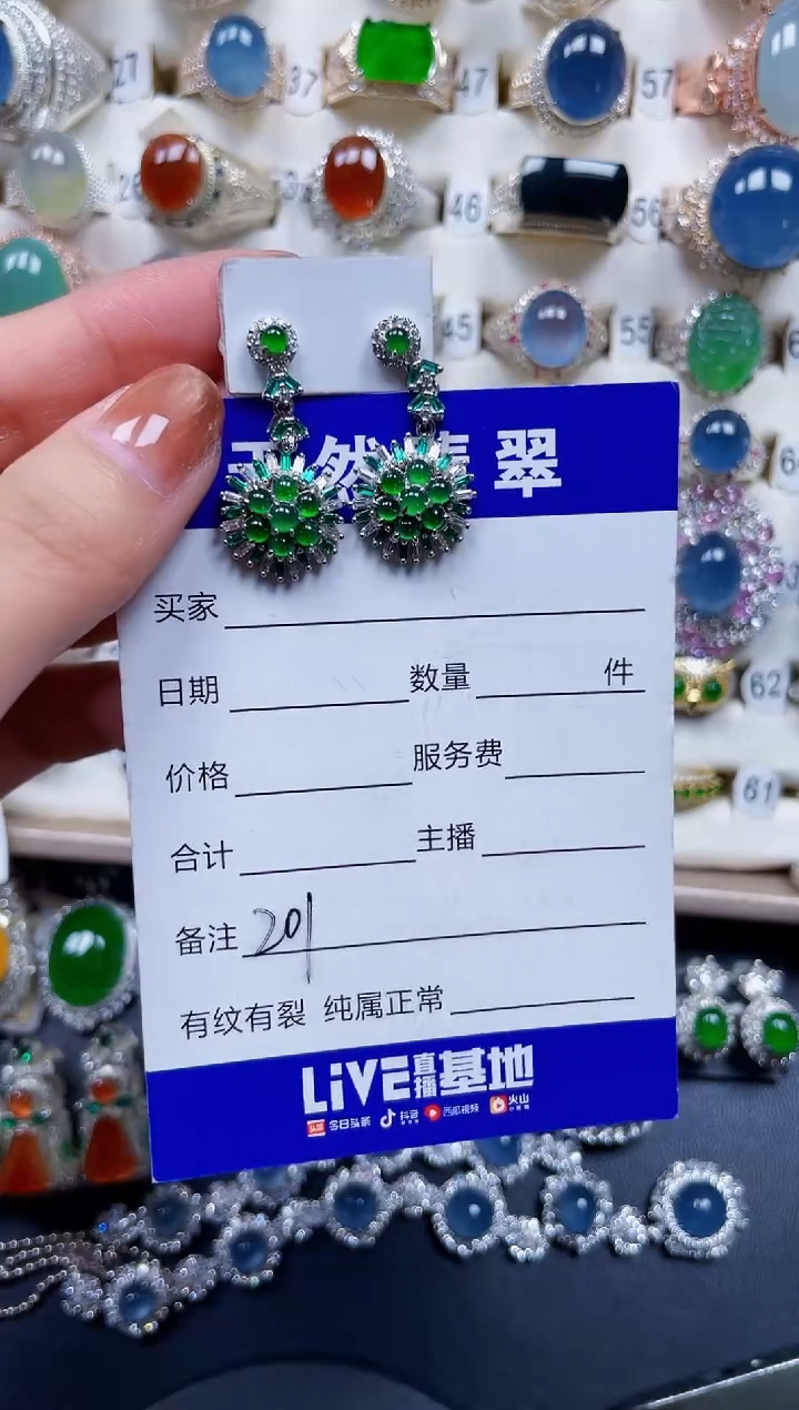 银S925镶嵌翡翠耳饰201