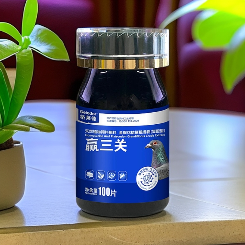 格莱德赢三关比赛用品鸽子赛鸽鸽子比赛