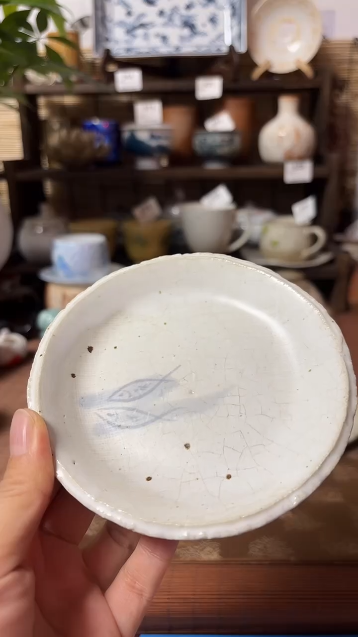 【闪购商品】瓷片喵喵家都是大漂亮