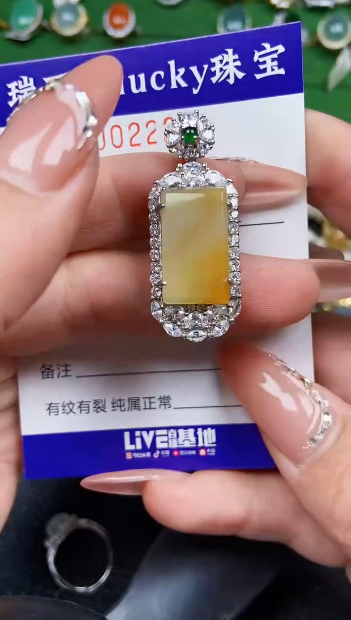 【闪购商品】翡翠颈饰银S925镶嵌0222