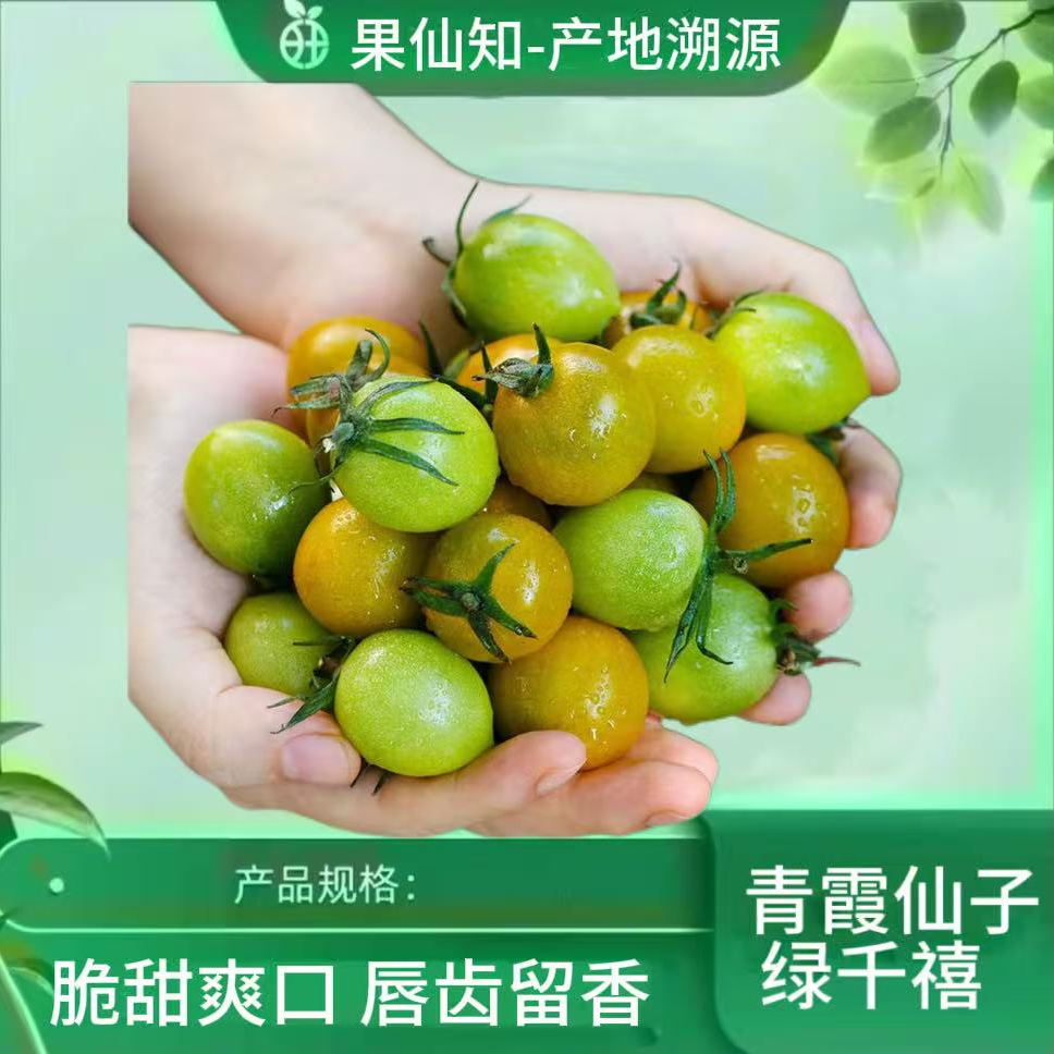 【青霞仙子绿千禧-净重/2斤左右】广东省