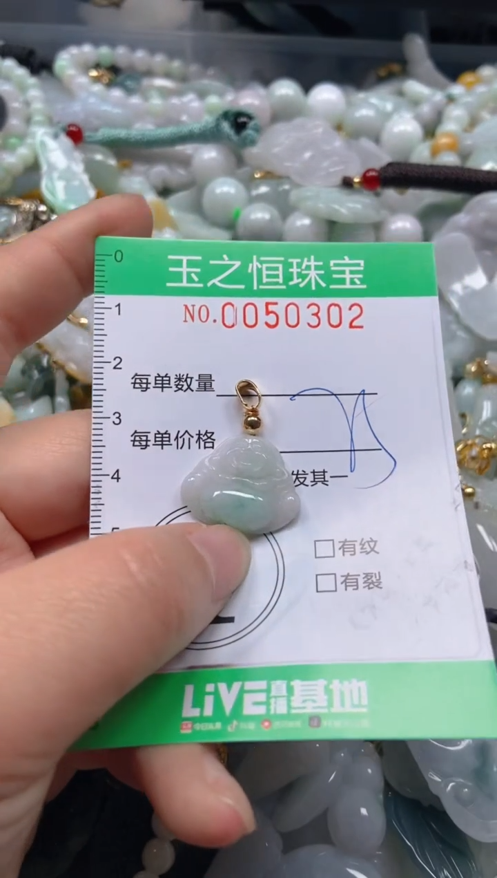 【闪购商品】翡翠颈饰未镶嵌闪购0050302