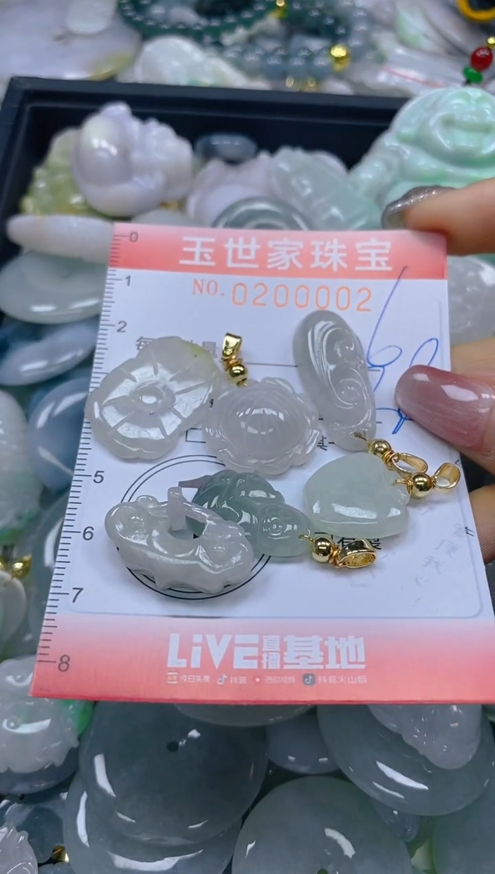 【闪购商品】翡翠颈饰未镶嵌闪购0200002