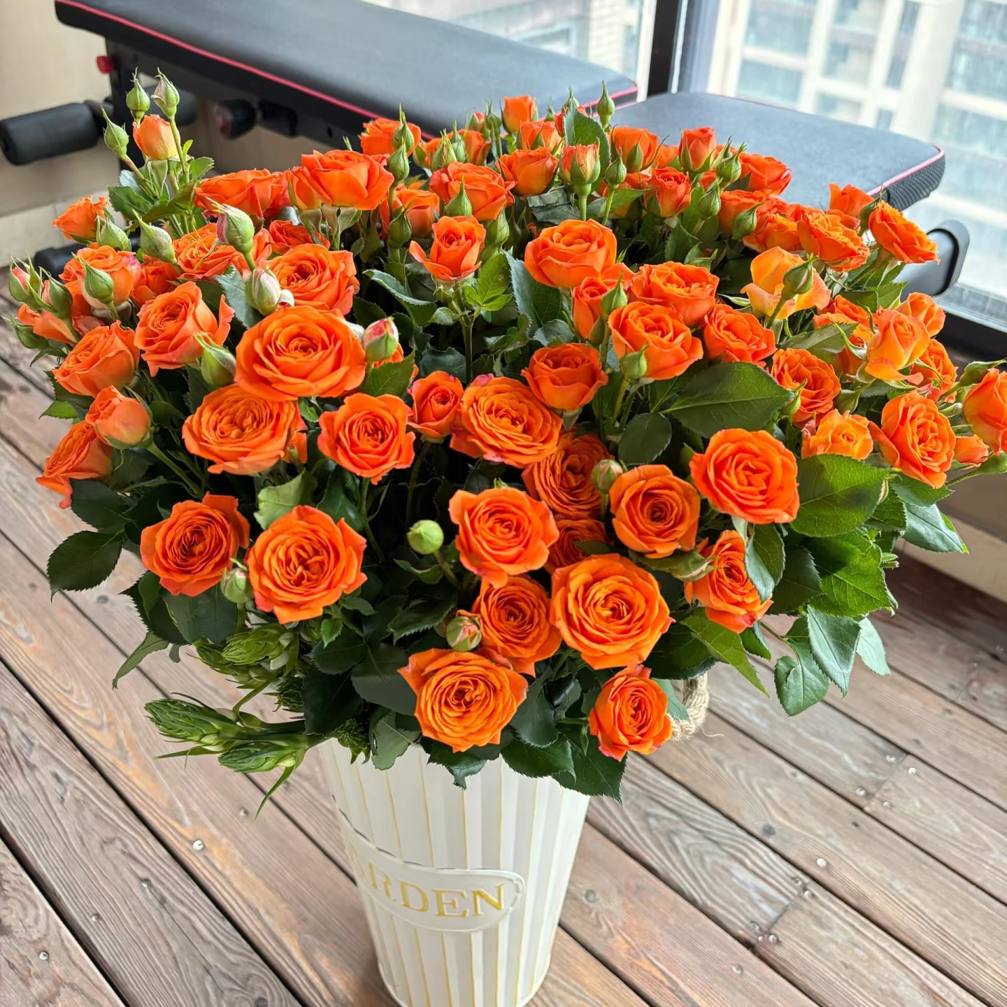 橙芭比 橙色芭比 5支