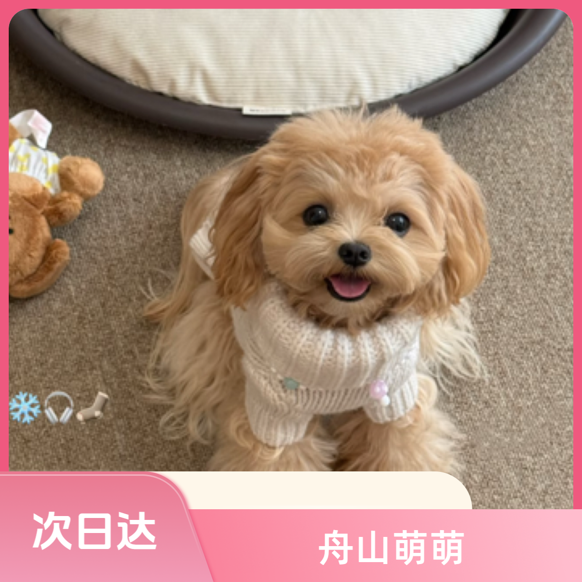 舟山西山萌萌宠物宠物用品宠物好物