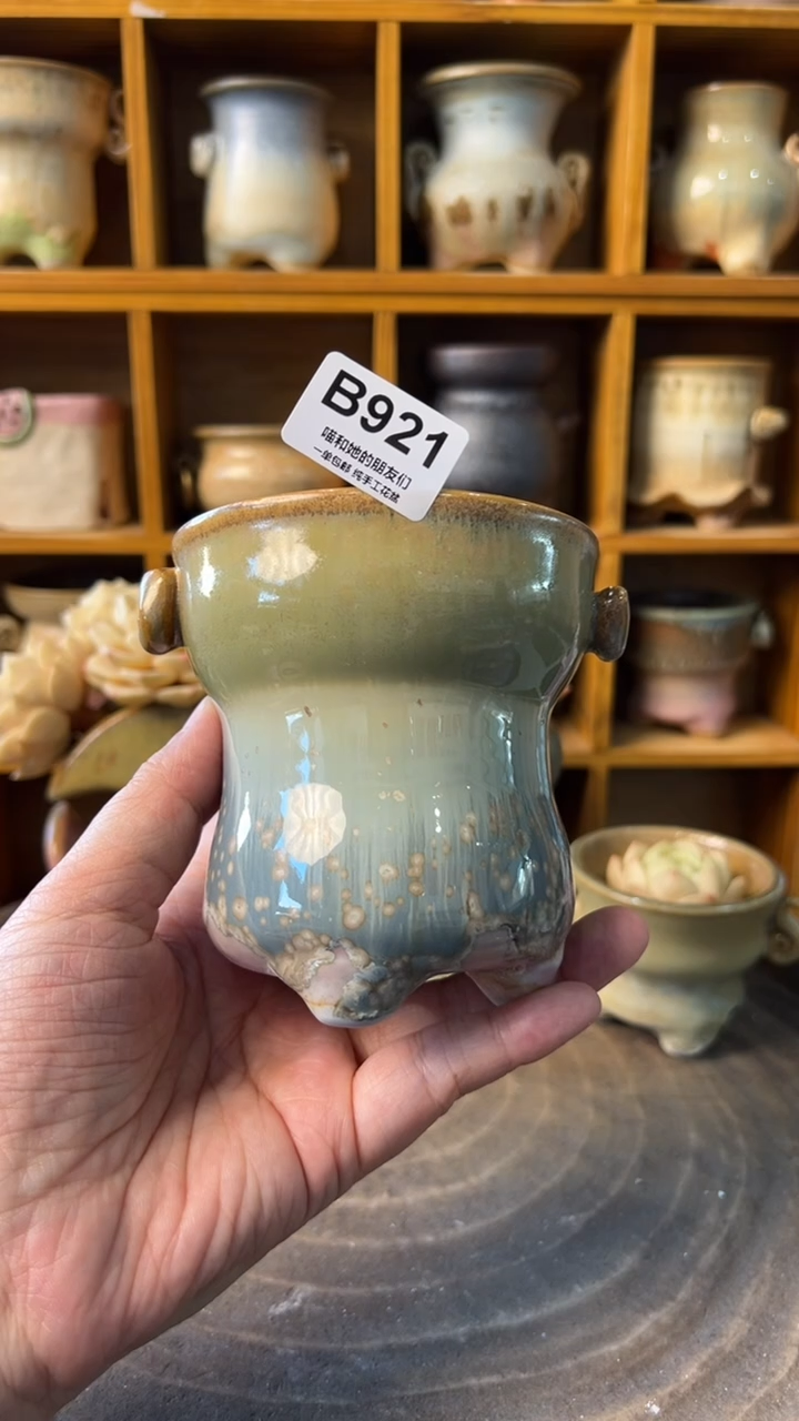 921 内口8【多肉花盆多肉盆】