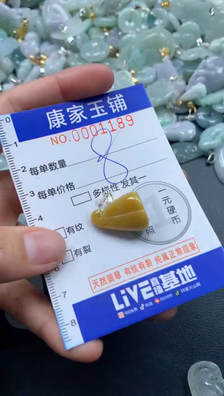 颈饰未镶嵌翡翠1189