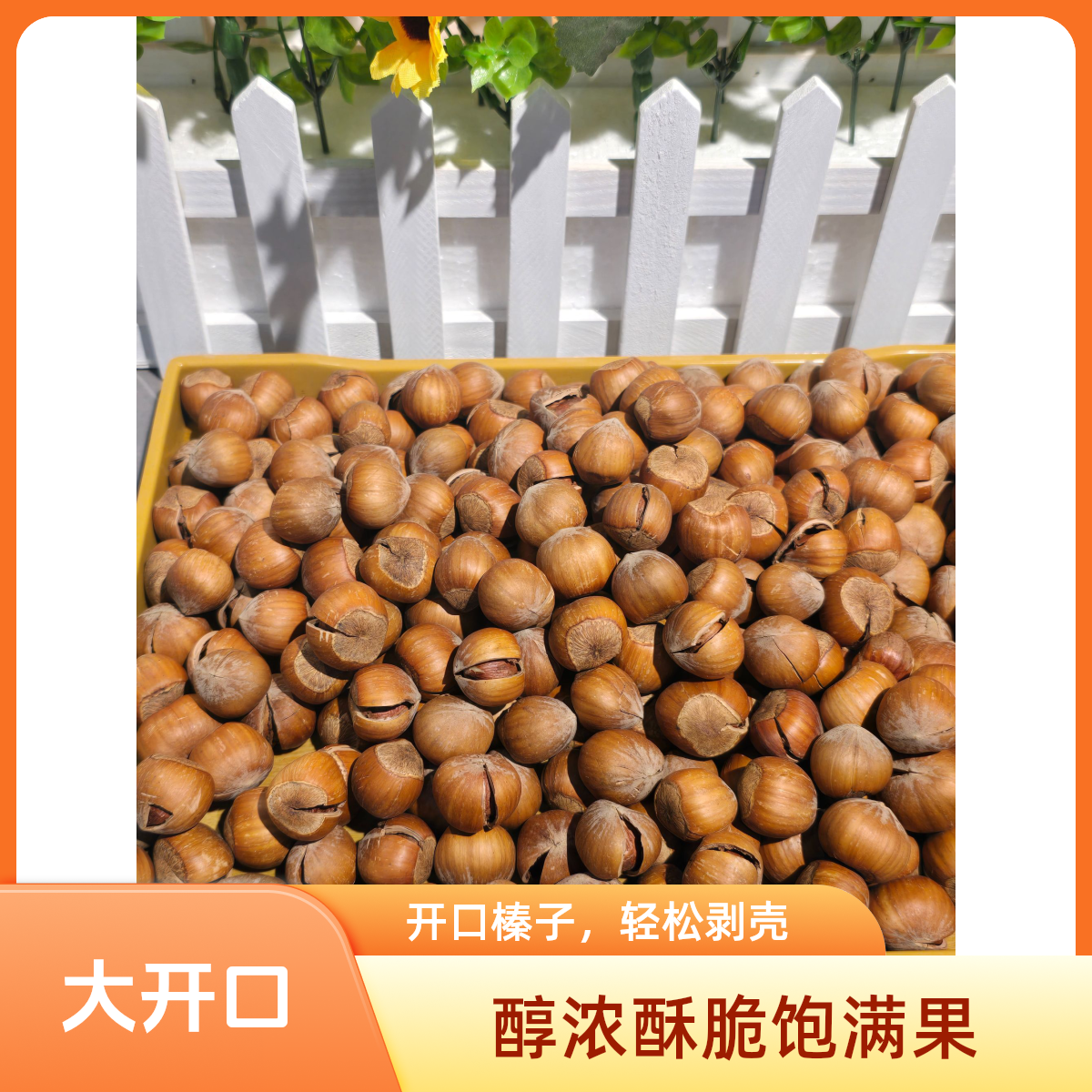 美国大榛子（开口大榛子）坚果零食 老少皆宜
