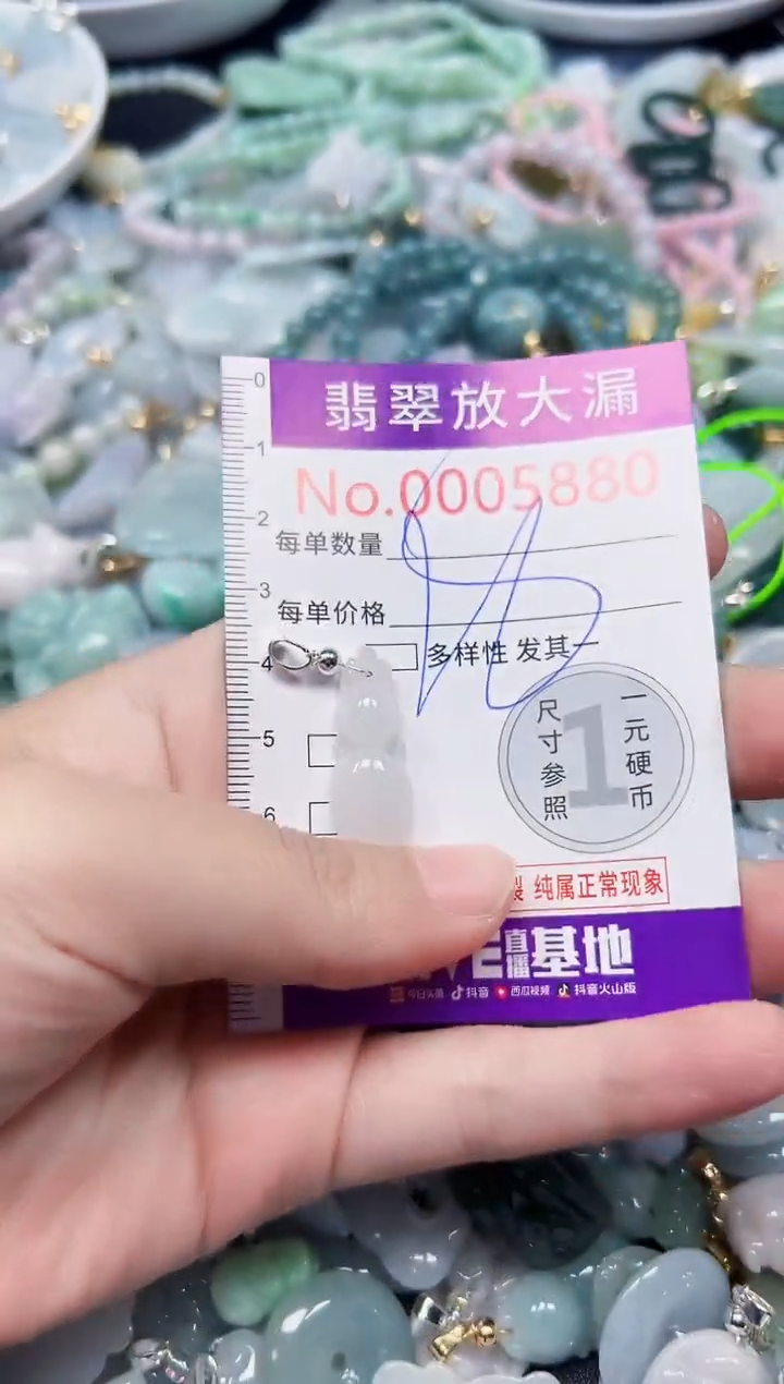 颈饰未镶嵌翡翠5880