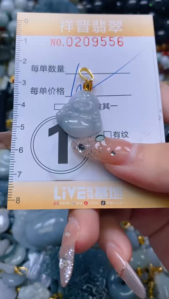 翡翠未镶嵌颈饰闪购0209556多样性发其一