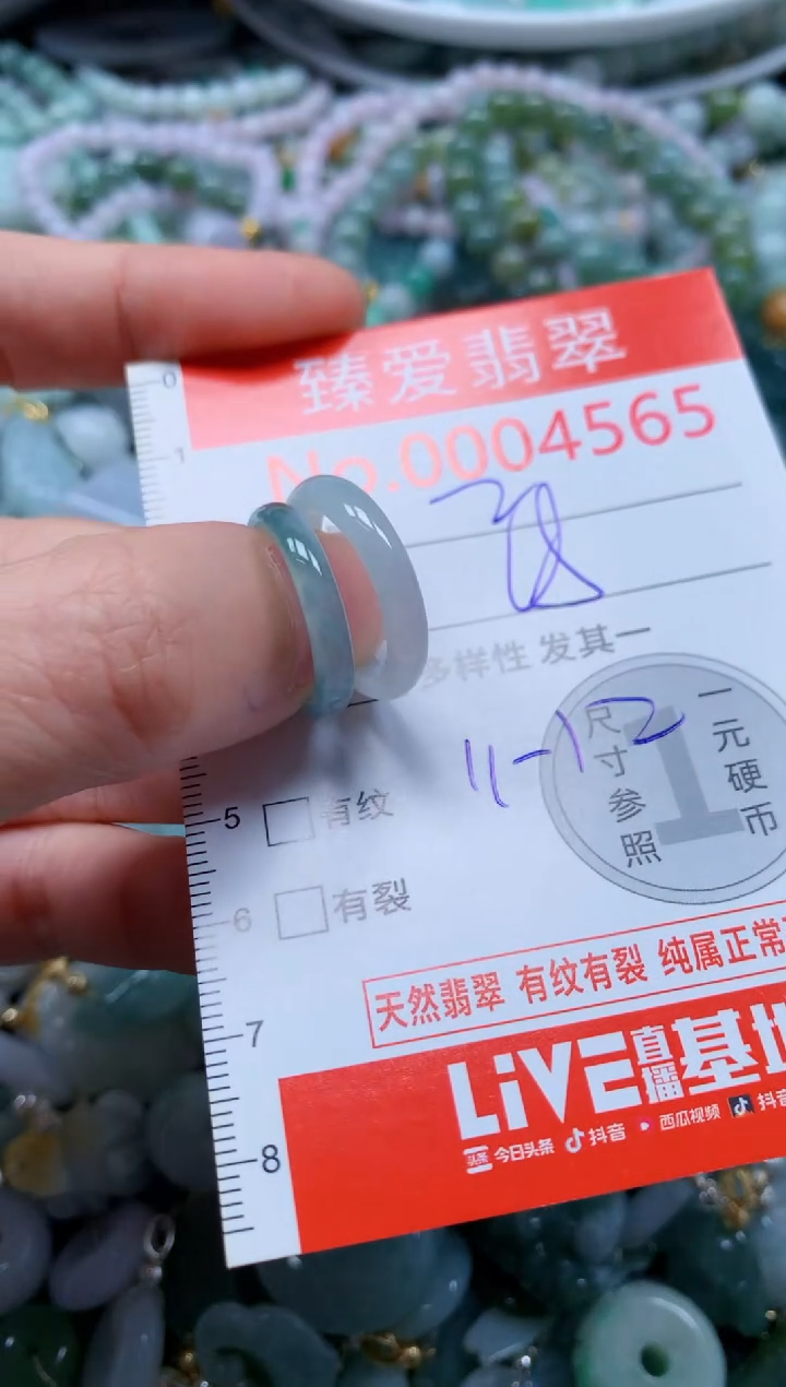 翡翠未镶嵌吊坠(不含链)4565