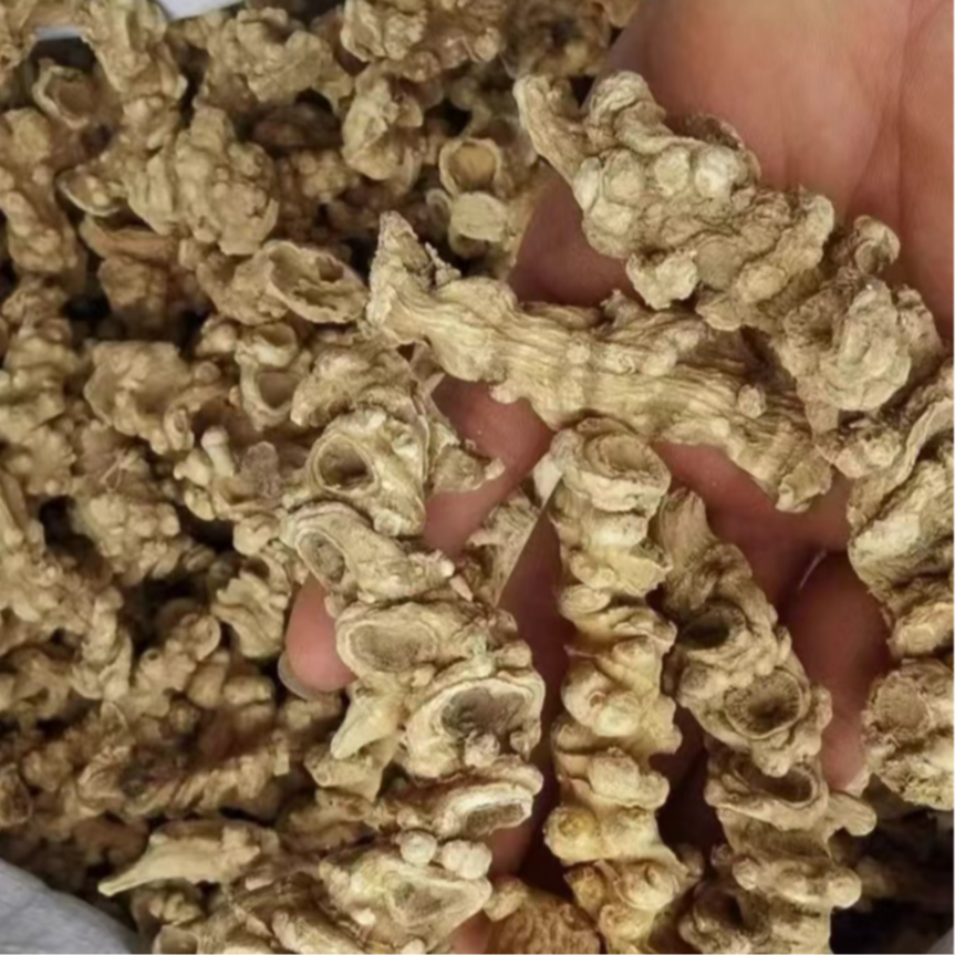 【阿成传承养生】三七-(仿天王参)-不建议使用