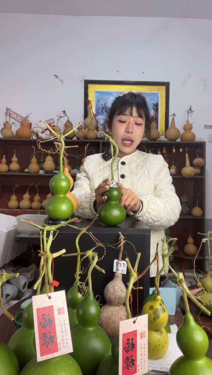 324天然葫芦摆件 一物一拍龙头不保售后