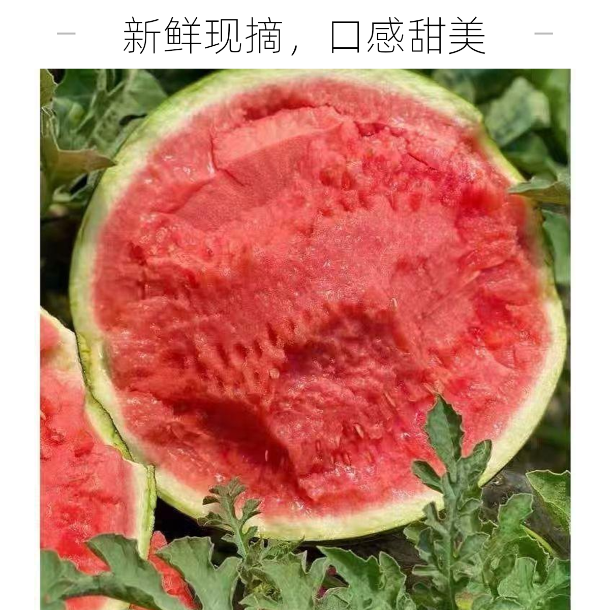 【顺丰快递 送货上门】【皮薄脆爽】正宗无籽冰糖麒麟西瓜 4-10斤当季新鲜水果脆甜爆汁11%-15%糖度云南省