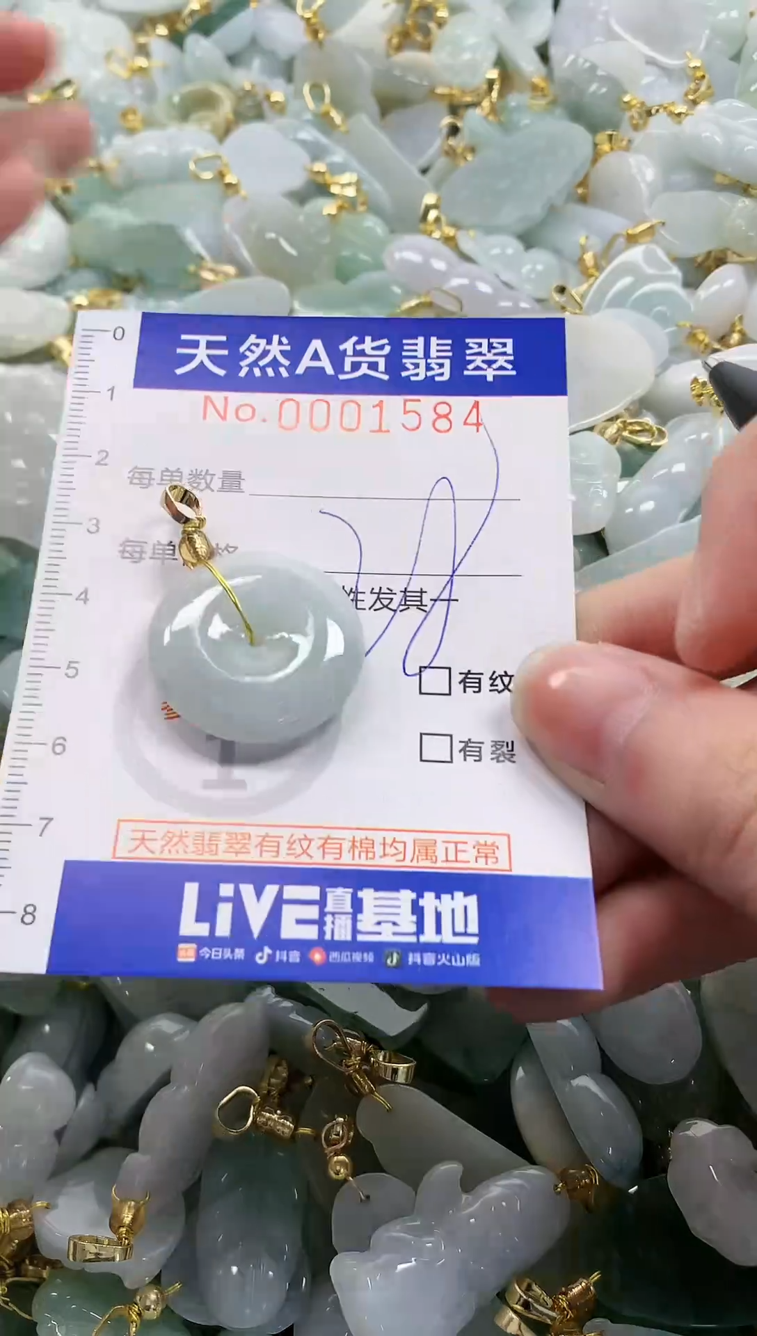 颈饰未镶嵌翡翠纯天然a货翡翠