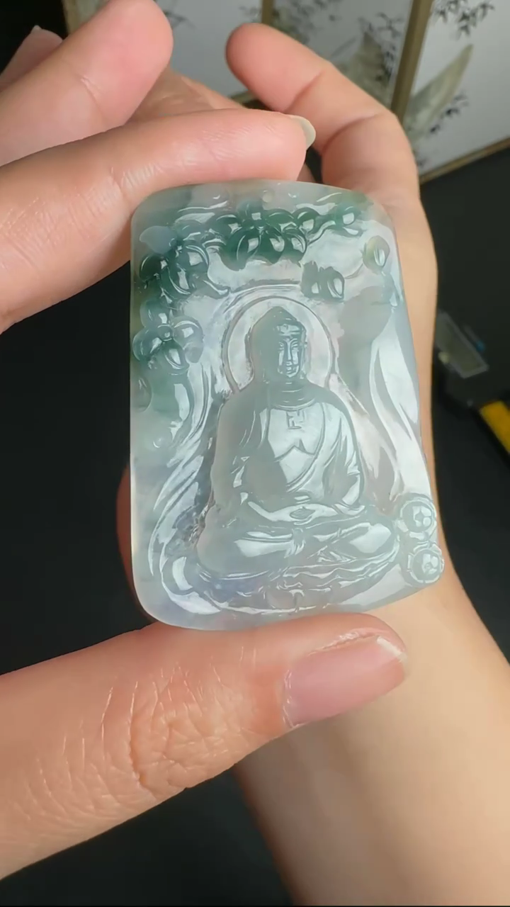 【闪购商品】翡翠颈饰未镶嵌WY0222134