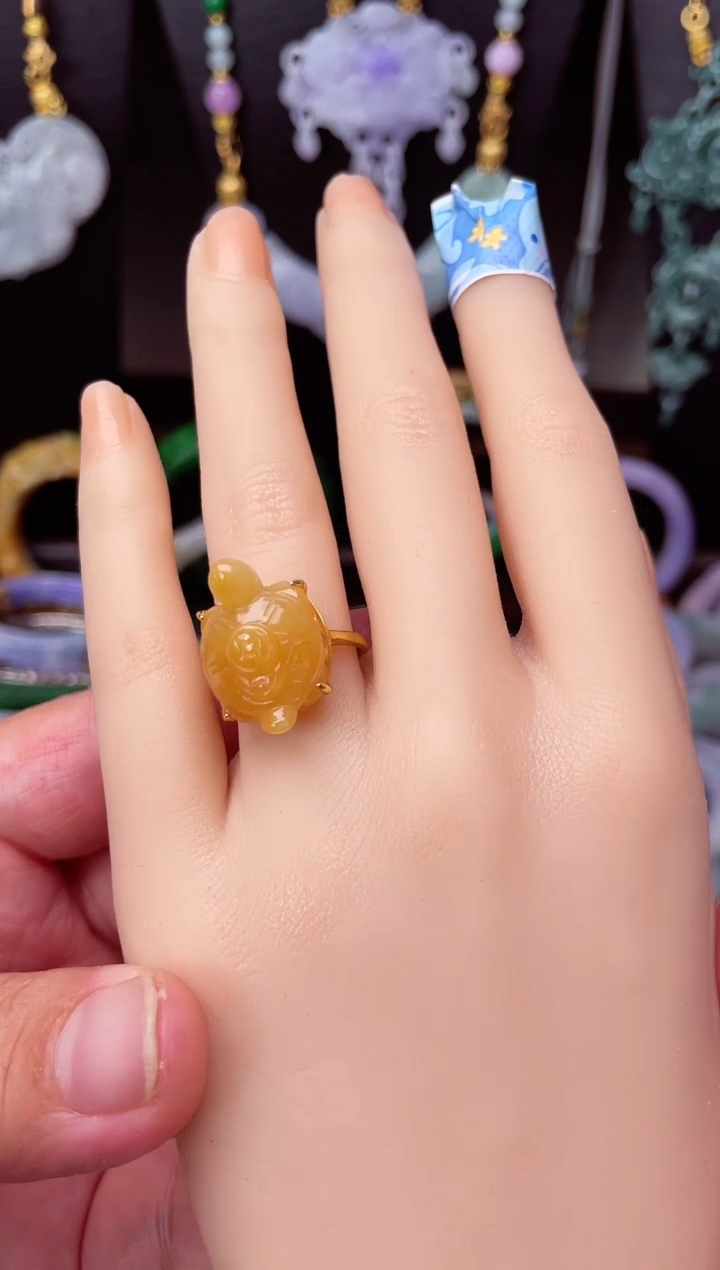 颈饰未镶嵌翡翠戒指