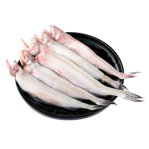 【开海季】海捕龙头鱼/水电鱼 450g/盒（6-10只）