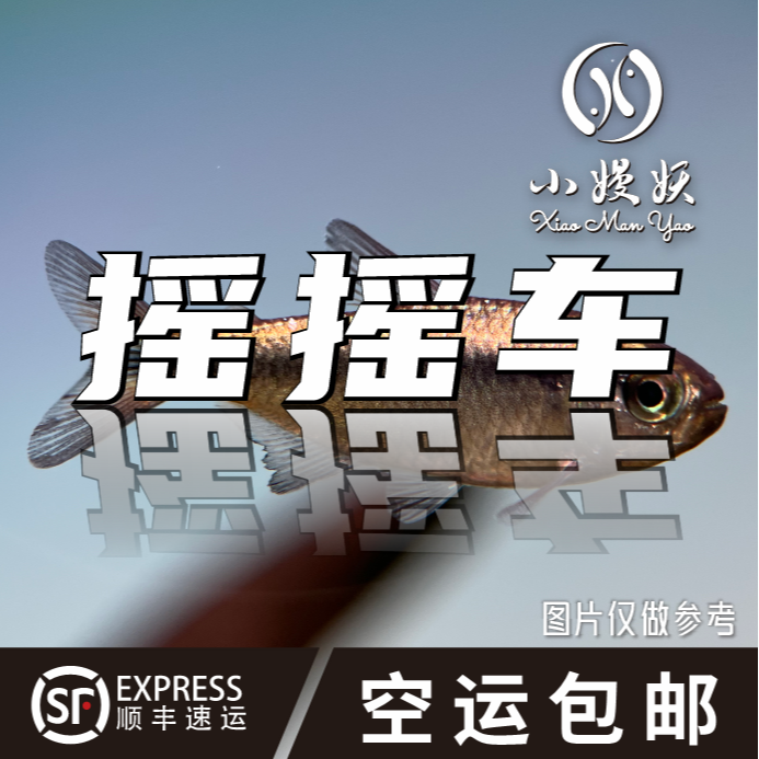 小嫚妖【遥遥车】直播专用 灯科鱼合集