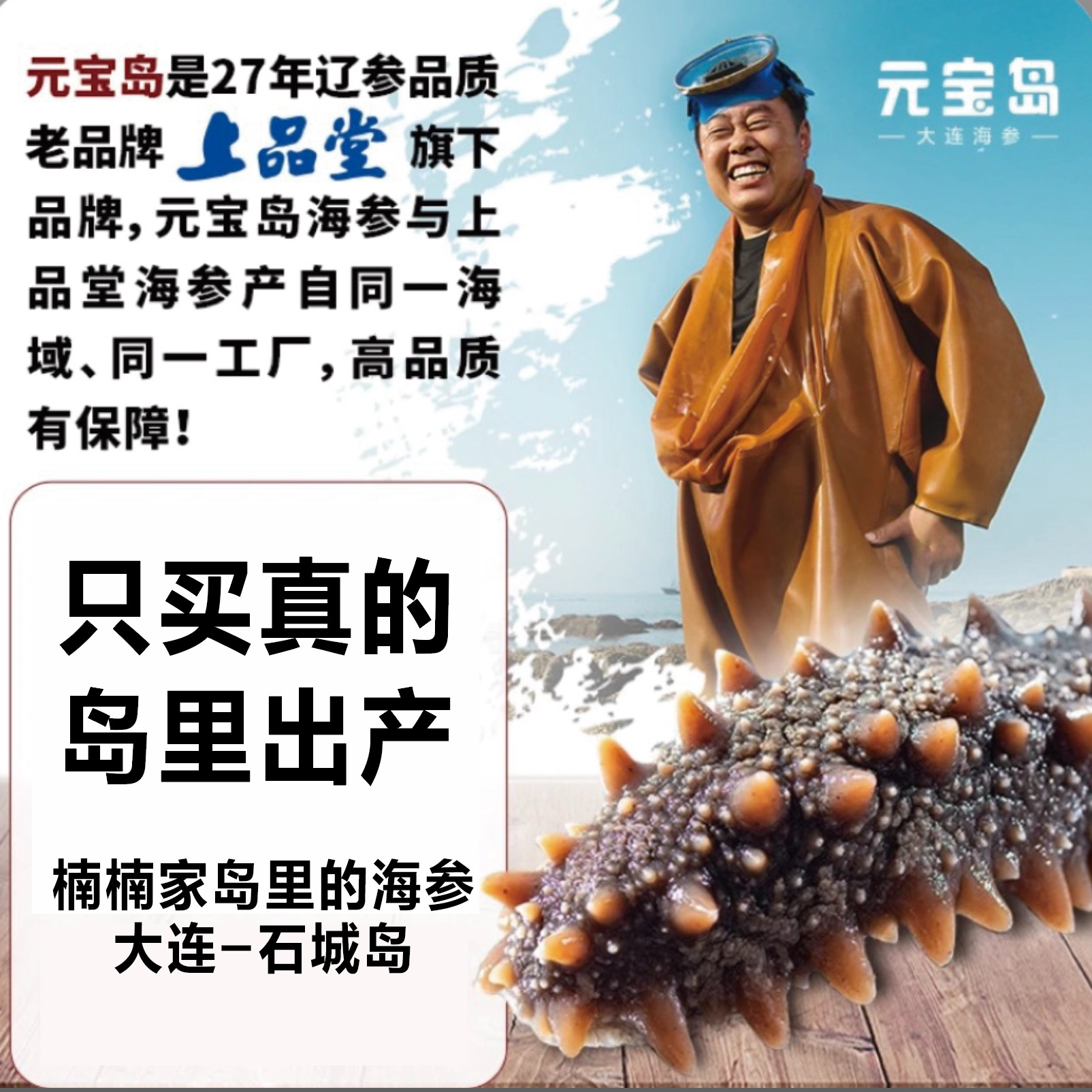 元宝岛大连海参 开袋即食海参9-10头/斤辽参 冷水海参