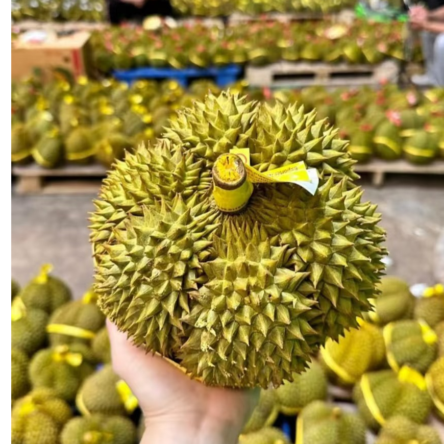 【顺丰包邮】大力泰国进口金枕新鲜带壳软糯香甜应季水果