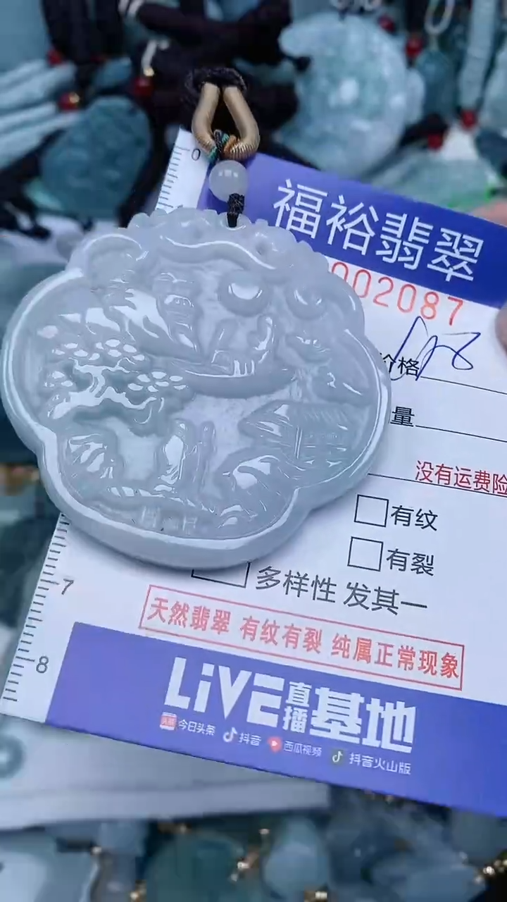 【闪购商品】翡翠未镶嵌颈饰...0002087