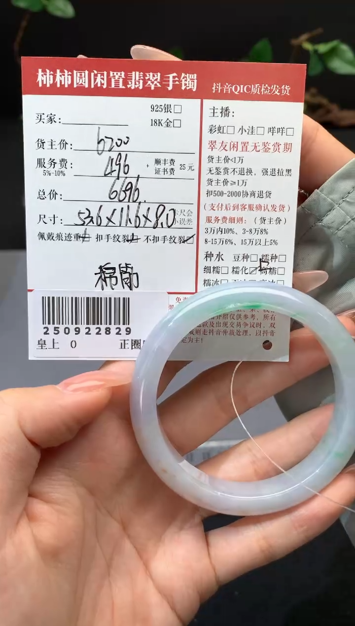 未镶嵌手镯翡翠姐姐250922829